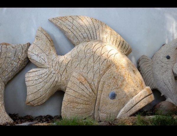 tallado de piedra concha pescado