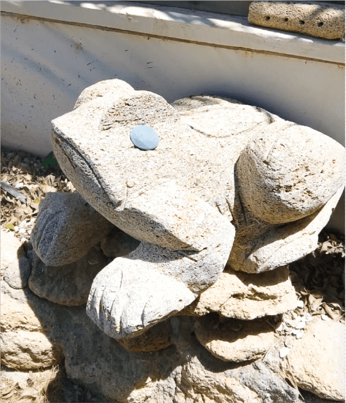 Tallado de Piedra - Rana