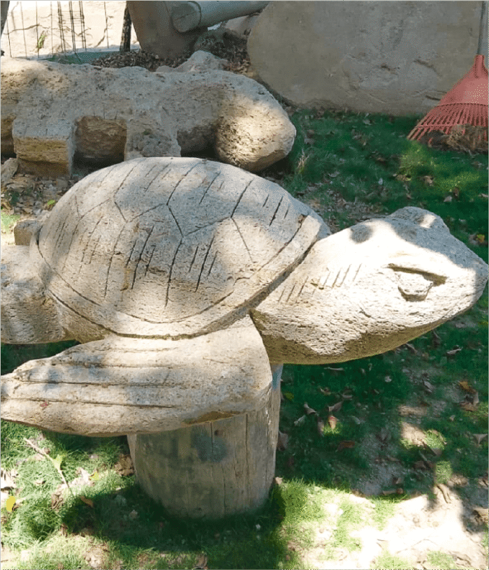 Tallado de Piedra - Tortuga